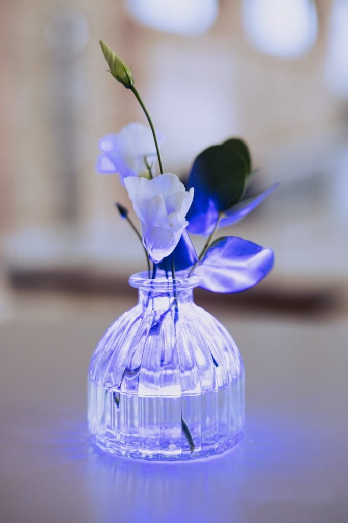 Floristik · Vase im Lichtspiel